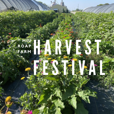 ROAP Farm Harvest Festival