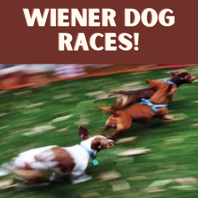 Running of the Wiener Dog Race