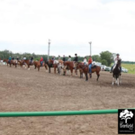 Greater Jefferson County Fair 2024 Open Horse Show